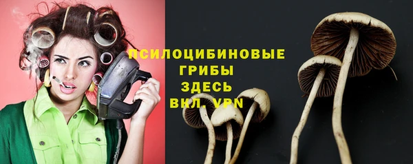 кокаин премиум Верея
