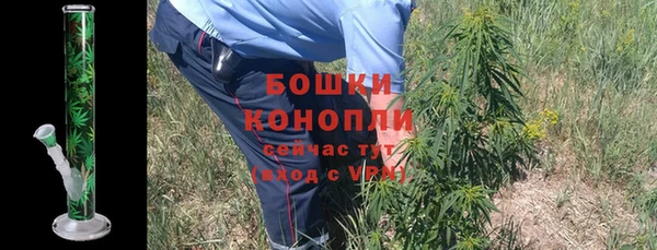 ГАЛЛЮЦИНОГЕННЫЕ ГРИБЫ Верхний Тагил
