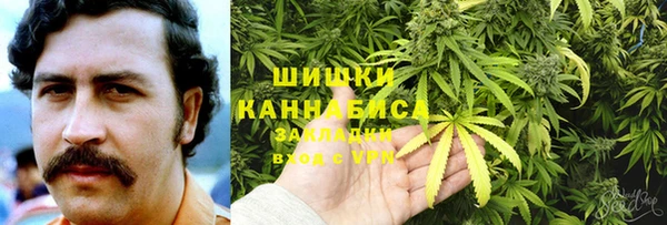 ГАЛЛЮЦИНОГЕННЫЕ ГРИБЫ Верхний Тагил